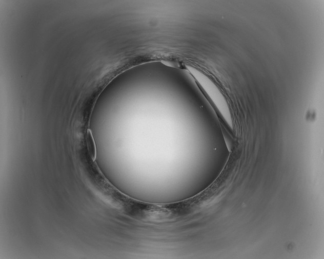 X0000096380215200802071521