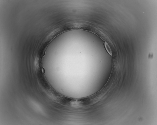 X0000096380216200802071521