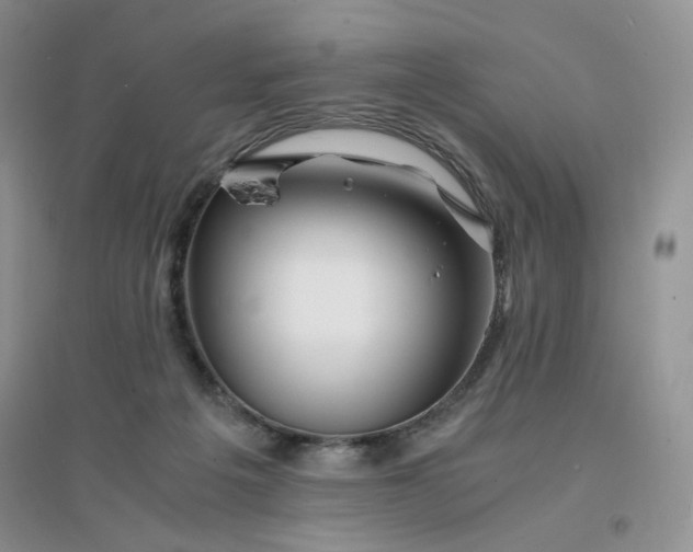 X0000096380217200802071521