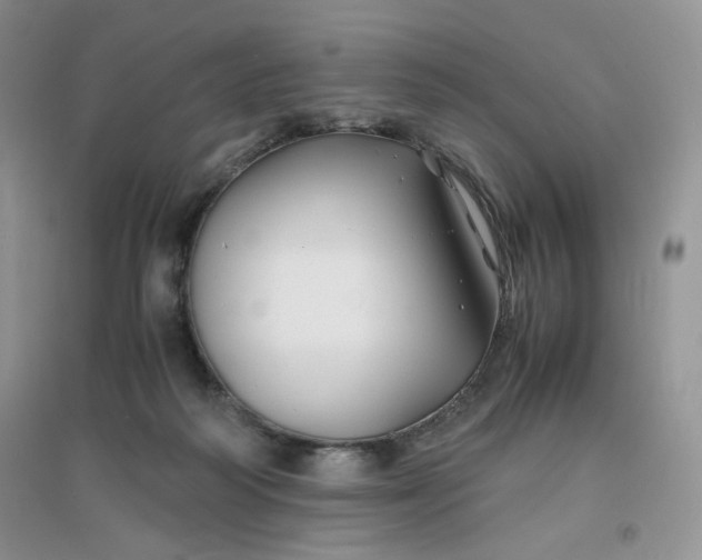 X0000096380218200802071521