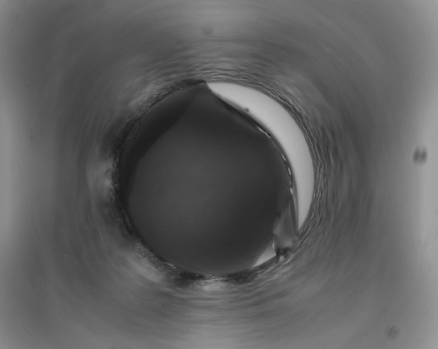 X0000096380219200802071521