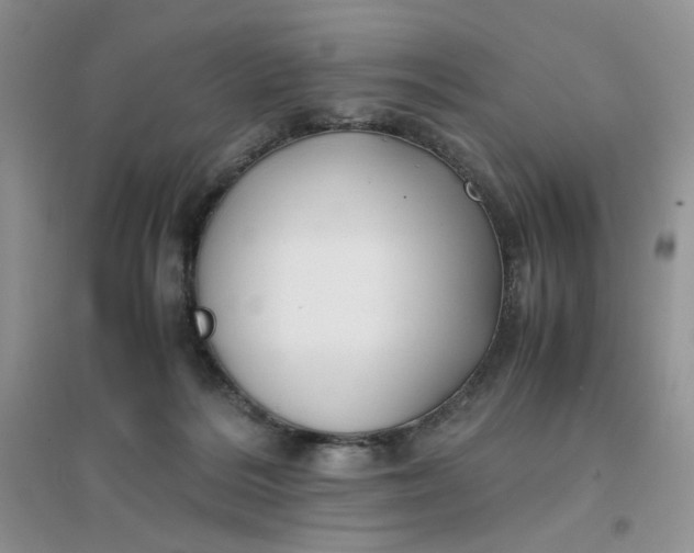 X0000096380220200802071521