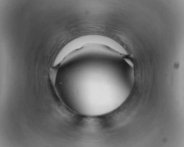 X0000096380221200802071521