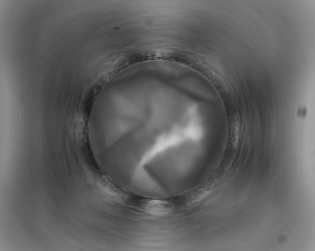 X0000096380222200802071521