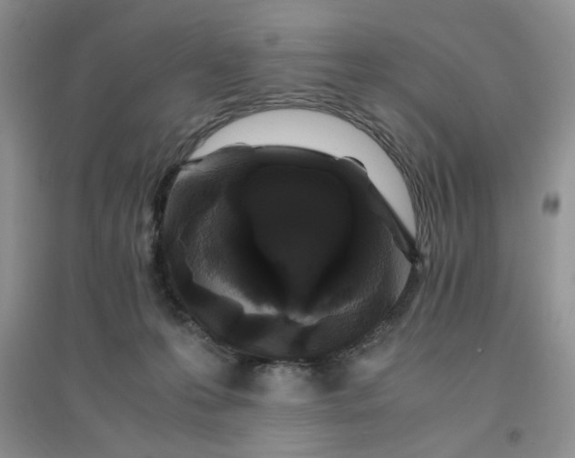 X0000096380223200802071521