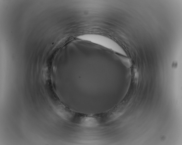 X0000096380224200802071521