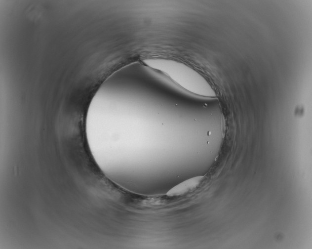 X0000096380225200802071521