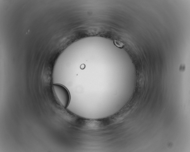 X0000096380226200802071521