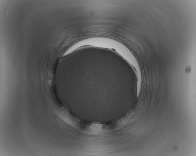 X0000096380227200802071520