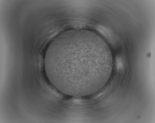 X0000096380228200802071520