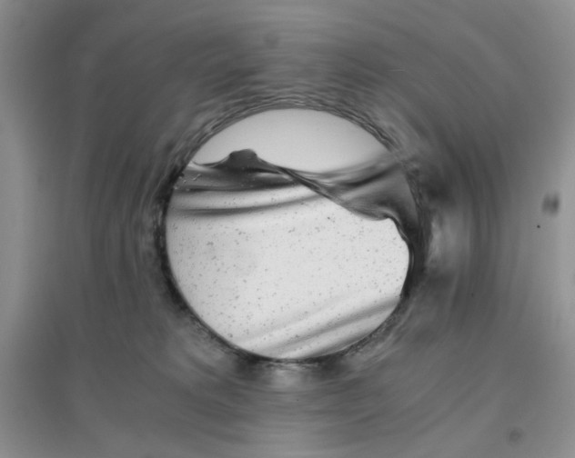 X0000096380229200802071520