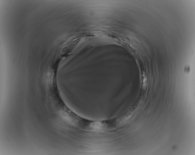 X0000096380231200802071520