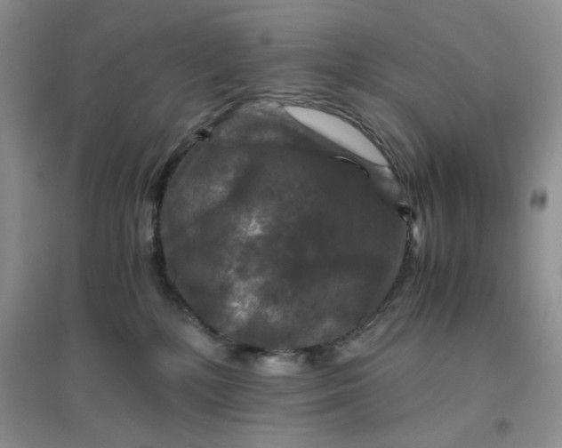 X0000096380232200802071520