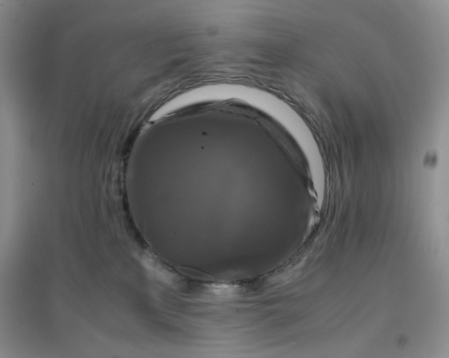 X0000096380233200802071520