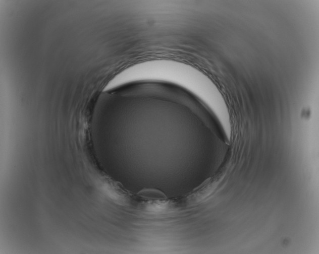 X0000096380235200802071520