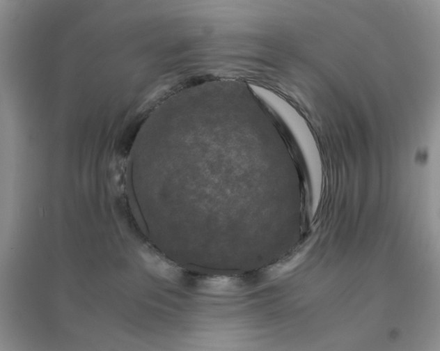 X0000096380237200802071520