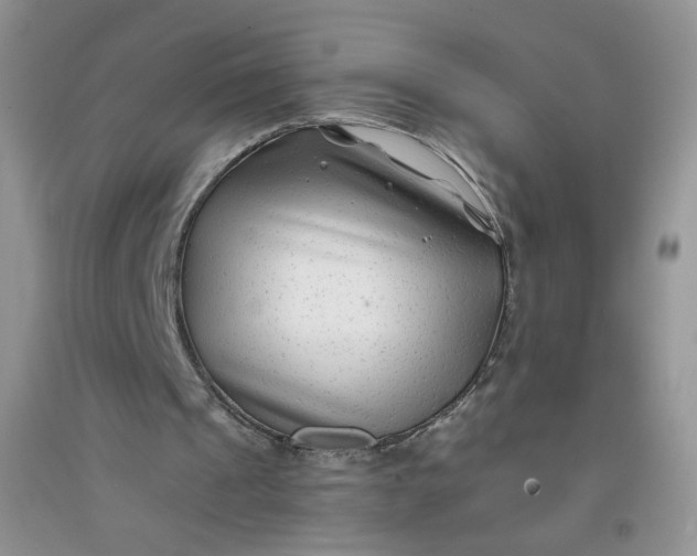 X0000096380241200802071519