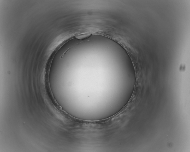 X0000096380242200802071520