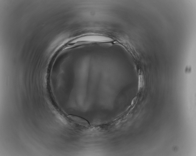 X0000096380243200802071520