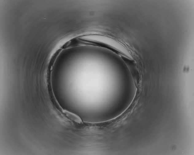 X0000096380244200802071520