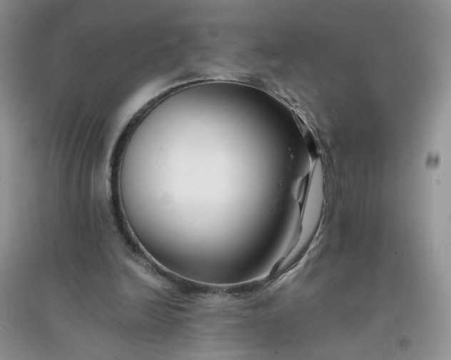 X0000096380246200802071520