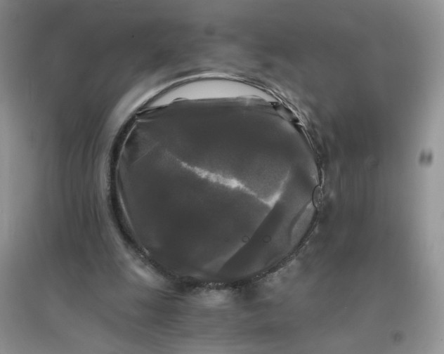 X0000096380247200802071520