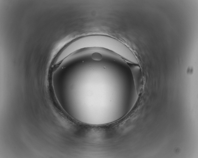 X0000096380248200802071520