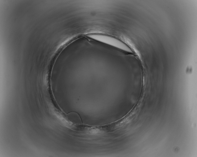 X0000096380249200802071520