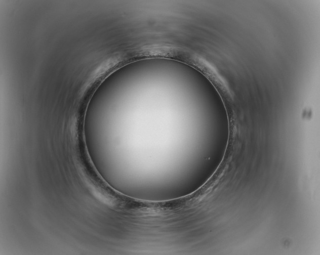 X0000096380250200802071520