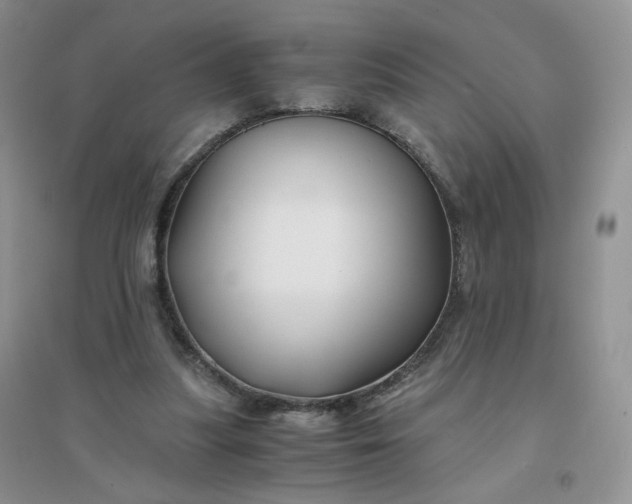 X0000096380251200802071520