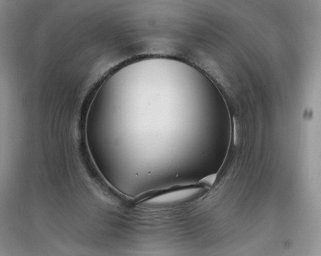 X0000096380252200802071520