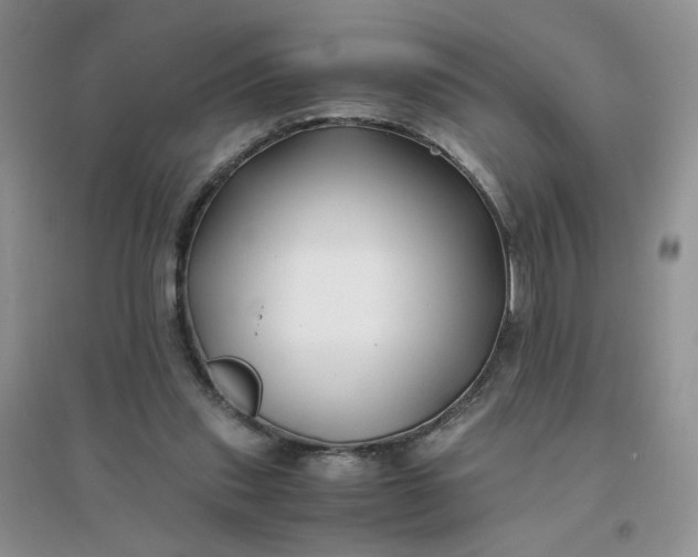 X0000096380253200802071520