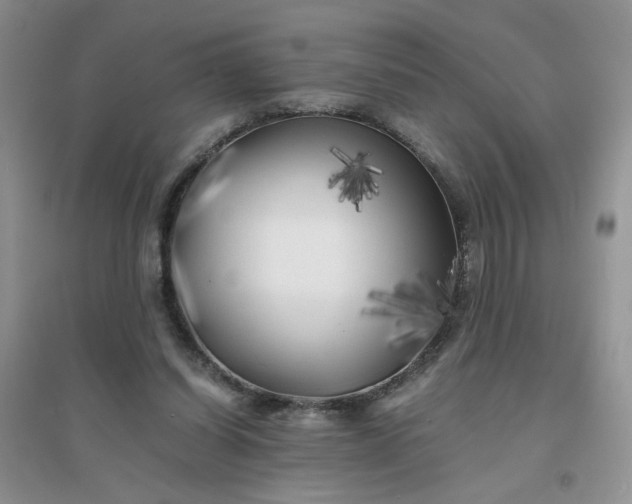 X0000096380254200802071520