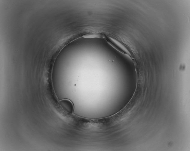 X0000096380255200802071520