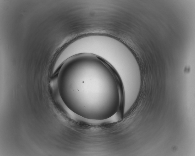 X0000096380256200802071520