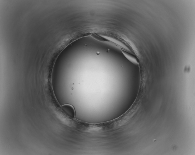 X0000096380257200802071520