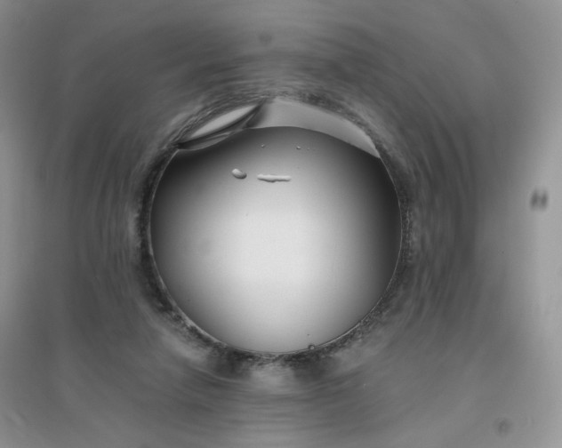 X0000096380258200802071520