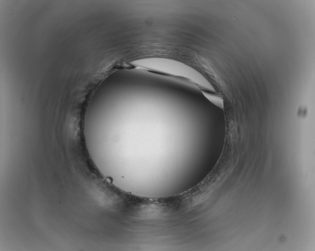 X0000096380259200802071520