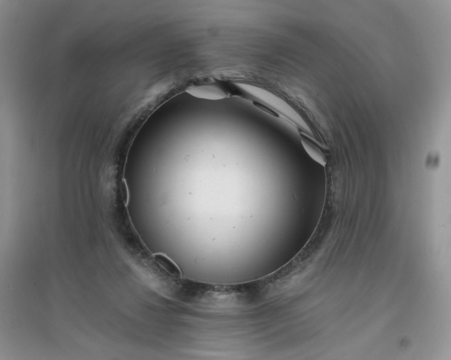 X0000096380260200802071520