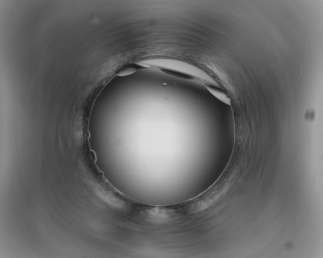 X0000096380261200802071520