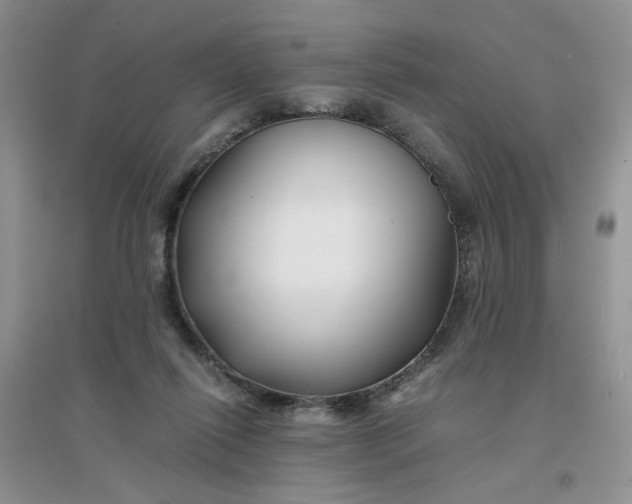 X0000096380262200802071520