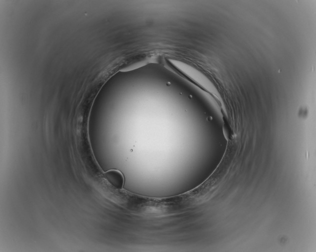 X0000096380263200802071520