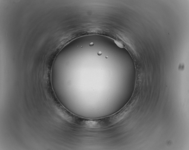 X0000096380265200802071520