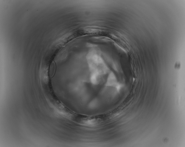 X0000096380267200802071520