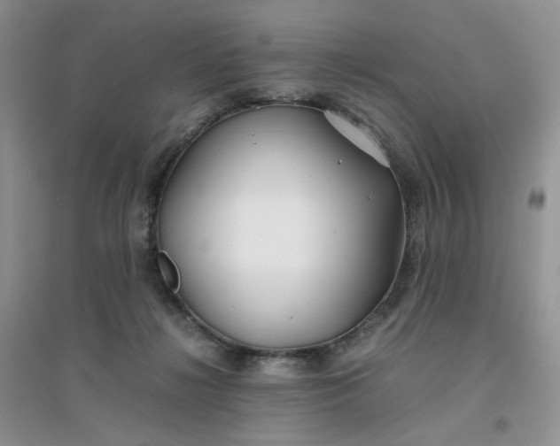 X0000096380268200802071520