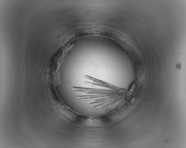 X0000096380270200802071520