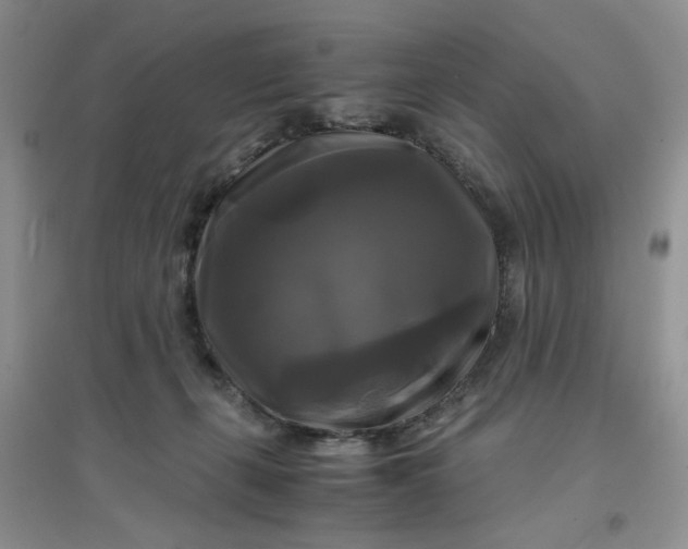 X0000096380271200802071520