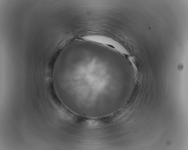 X0000096380272200802071520