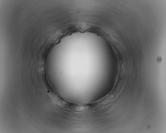 X0000096380274200802071520