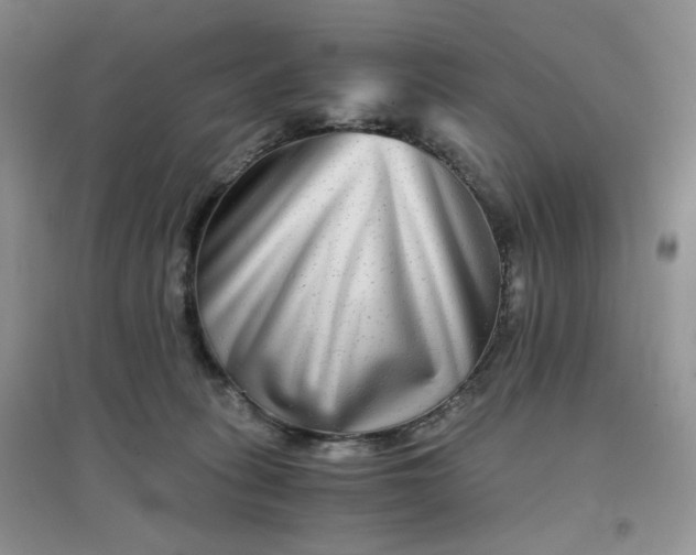 X0000096380275200802071520